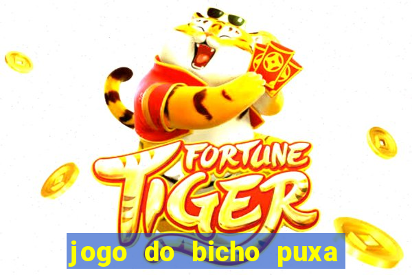 jogo do bicho puxa de dona maria